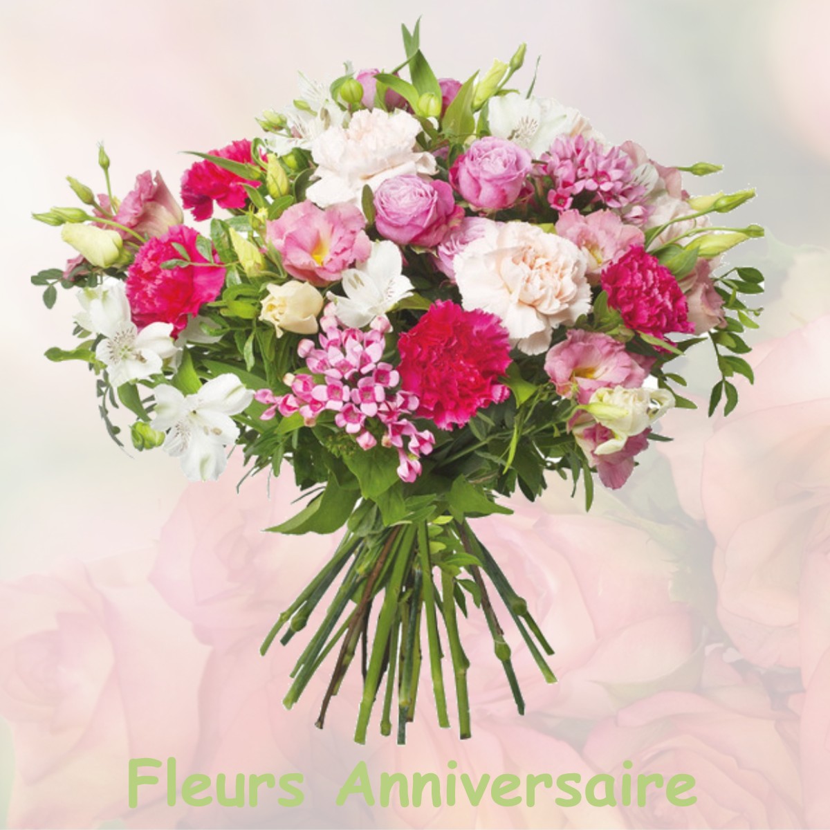 fleurs anniversaire VILLECHENEVE